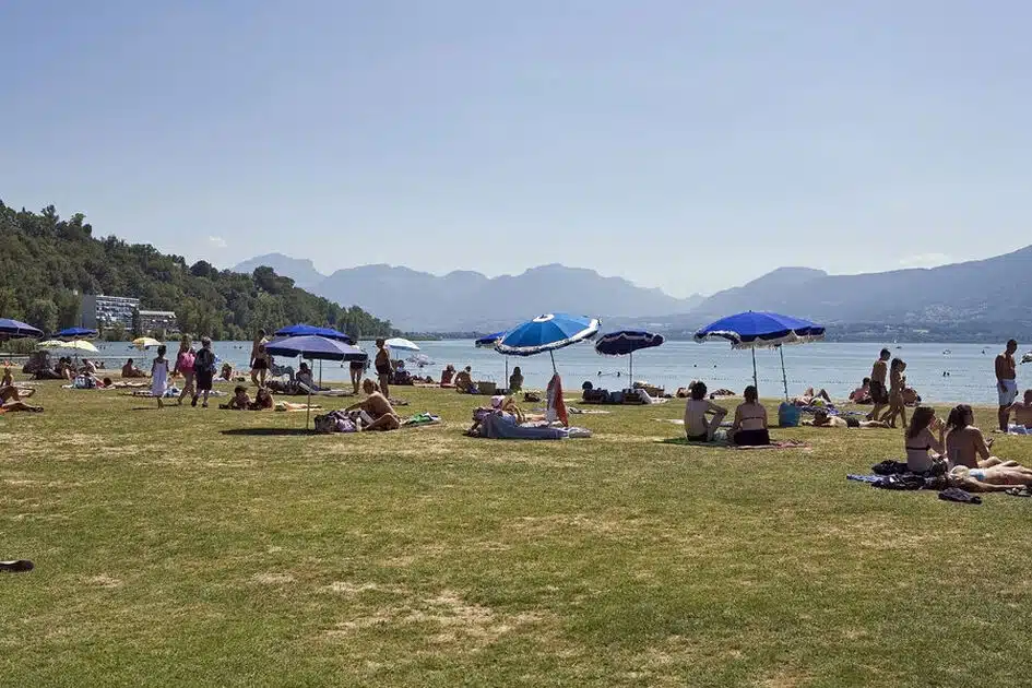 Plongée dans la sérénité la plage du Rowing, un joyau caché